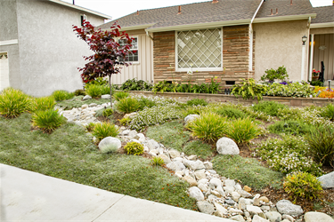 Lawn2Garden_06-01-19_017.png