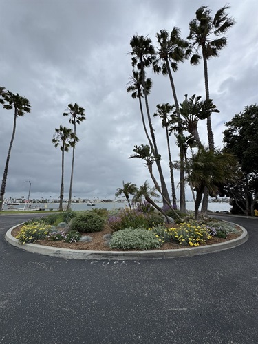 LTG Public Agency_Vegetated Swale