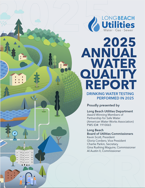 Image of 2025 CCR Cover